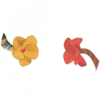 EP81circle